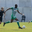 Plzeň - Bohemians 1:1 (1:1)