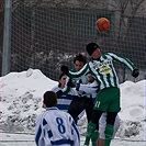 Bohemians B remizovali v přípravném utkání s Roudnicí nad Labem 2:2.