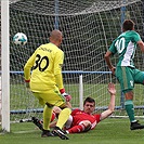 Bohemians  Praha 1905 - AS Trenčín 5:1 (2:0)