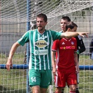 Bohemians  Praha 1905 - AS Trenčín 5:1 (2:0)