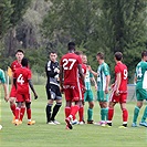 Bohemians  Praha 1905 - AS Trenčín 5:1 (2:0)