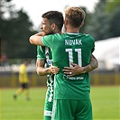 Sokolov - Bohemians 0:6 (0:2)