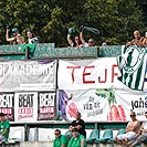 Bohemians - Slovácko 2:1 (0:1)