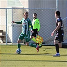 Wolfsberger - Bohemians 1:1 (1:0)