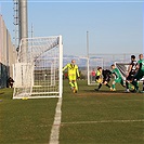 Wolfsberger - Bohemians 1:1 (1:0)