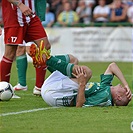 SK Zápy - Bohemians 1905 1:3 (1:0)