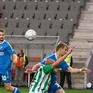 Bohemians 1905 - Baník Ostrava 1:1