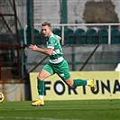 Bohemians - Teplice 2:0 (0:0)