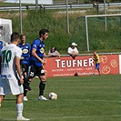 SK Rapid Vídeň - Bohemians  Praha 1905 2:3 (0:1)