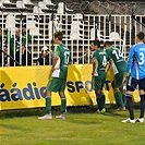 FC Hradec Králové - Bohemians Praha 1905 1:0 (0:0)