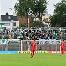 Zbrojovka - Bohemians 0:0