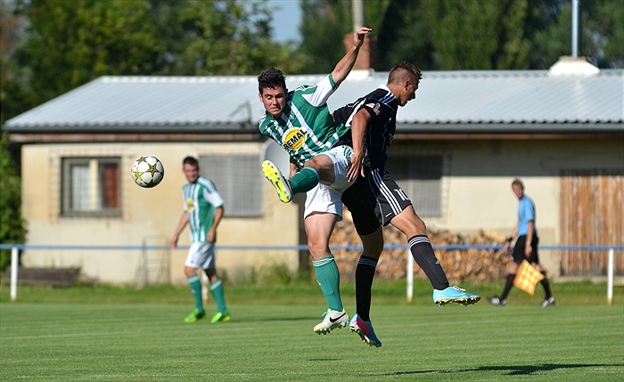 Bohemians Praha 1905 - 1. FK Příbram 1:2 (1:1)