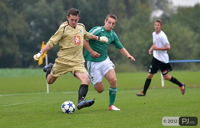 Bohemians 1905 - FC Hradec Králové 2:2 (2:0)