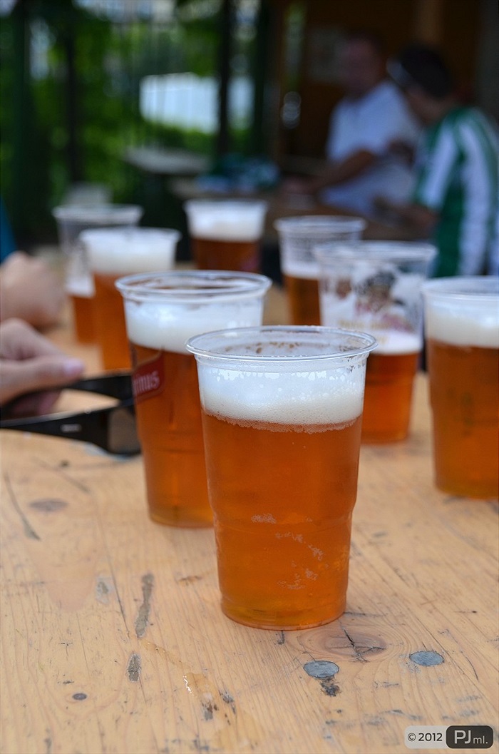 Bohemians 1905 - Parma F.C. 2:1 (2:1)