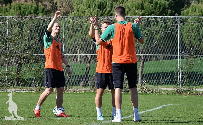 Klokani se připravovali na Rapid Vídeň!