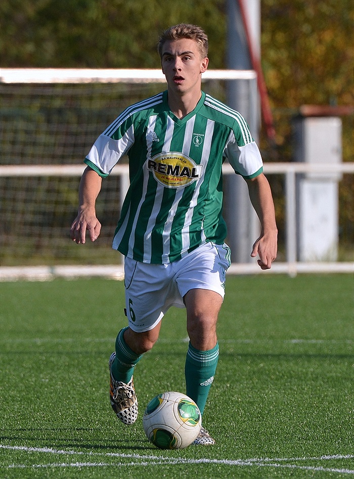 Bohemians Praha 1905 - FC Baník Ostrava 2:1 (2:0) 