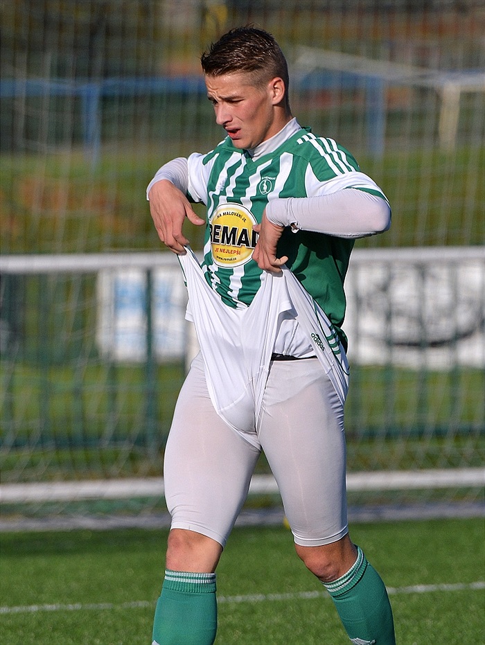 Bohemians Praha 1905 - FC Baník Ostrava 2:1 (2:0) 