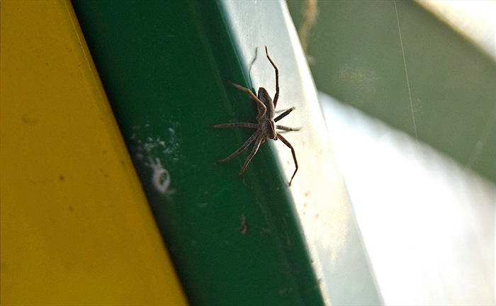 Mrazivý trénink v Uhříněvsi