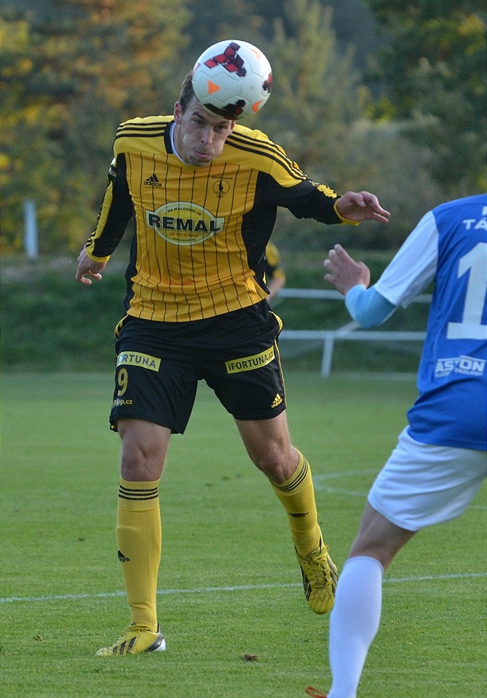 příprava FC MAS Táborsko - Bohemians Praha 1905 1:0 (0:0)