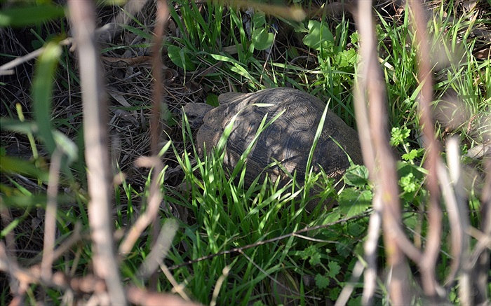 Soustředění Turecko 2015 - 7. den (odpoledne)