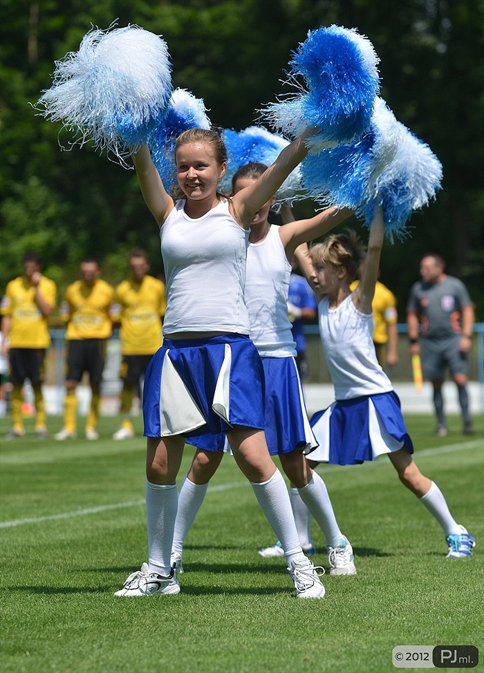Bohemians 1905 - Viktoria Žižkov 1:2 (1:1)