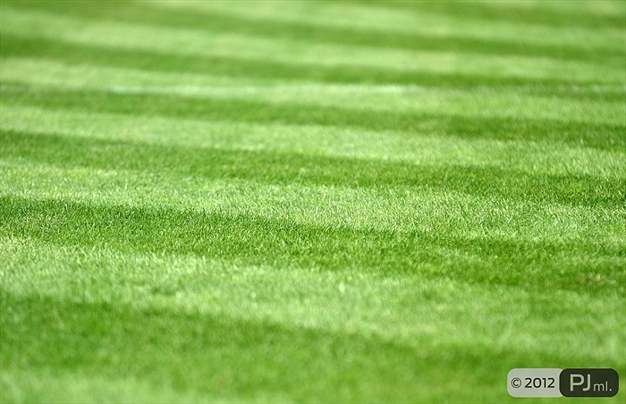 Bohemians 1905 - Viktoria Žižkov 1:2 (1:1)