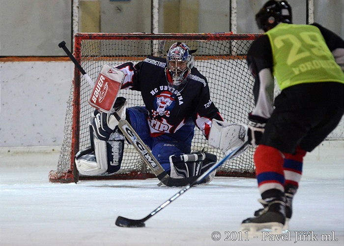 Klokani po roce opět na ledě