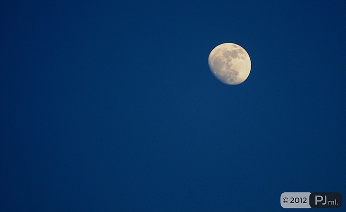 Bohemians 1905 - Baník Ostrava 0:1 (0:1)