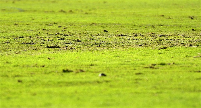 FK Baník Sokolov - Bohemians Praha 1905 0:0 (0:0)