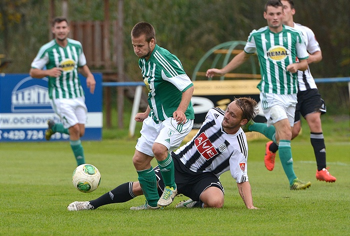Bohemians Praha 1905 - SK Dynamo Č.Budějovice 2:1 (1:1)