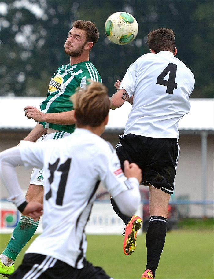 Bohemians Praha 1905 - SK Dynamo Č.Budějovice 2:1 (1:1)