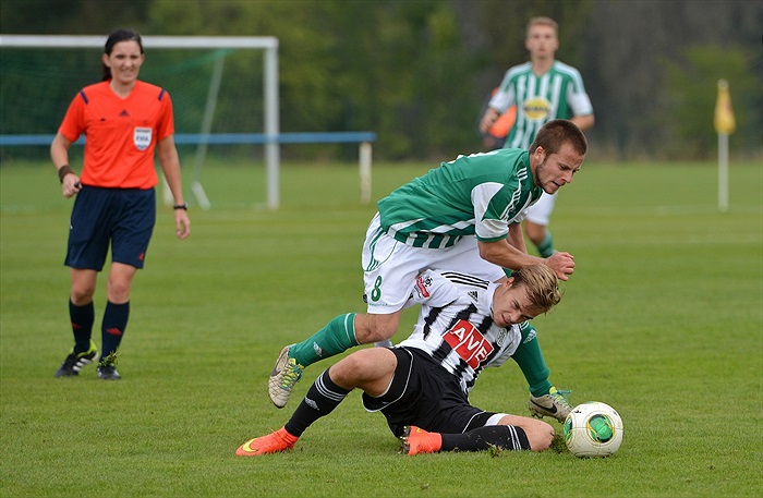 Bohemians Praha 1905 - SK Dynamo Č.Budějovice 2:1 (1:1)