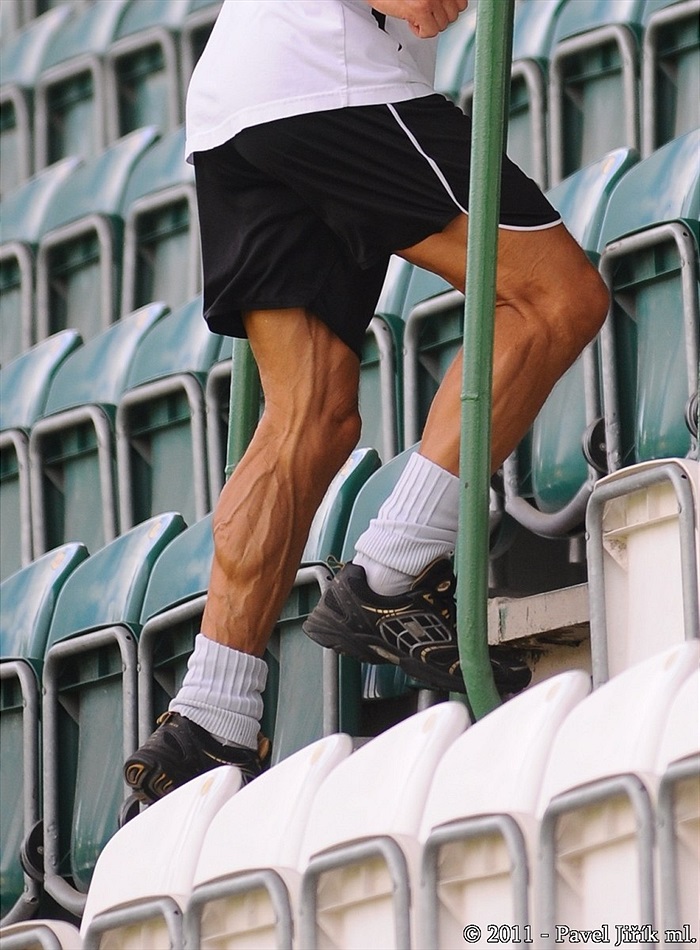 Náročný trénink Klokanů