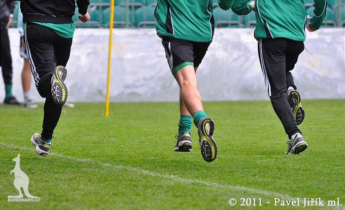 Klokani dostali pořádně do těla