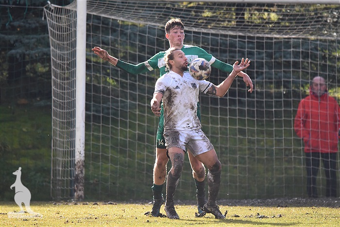 Zbuzany - Bohemians B 1:2 (0:1)