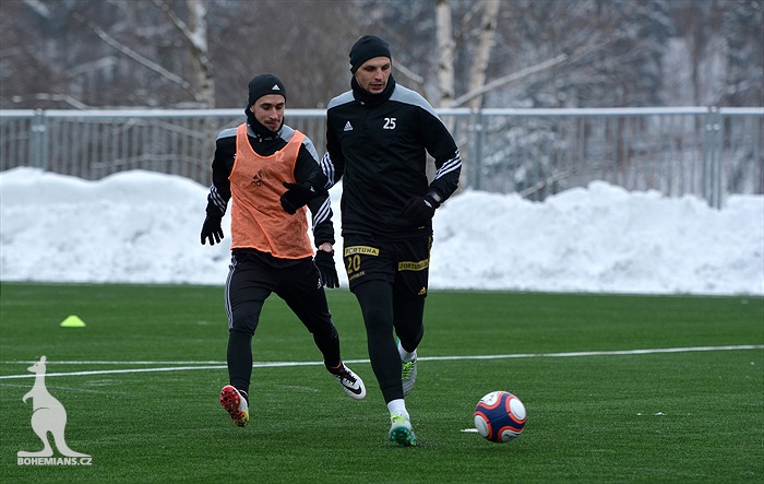 Klokani se připravují v Břízkách