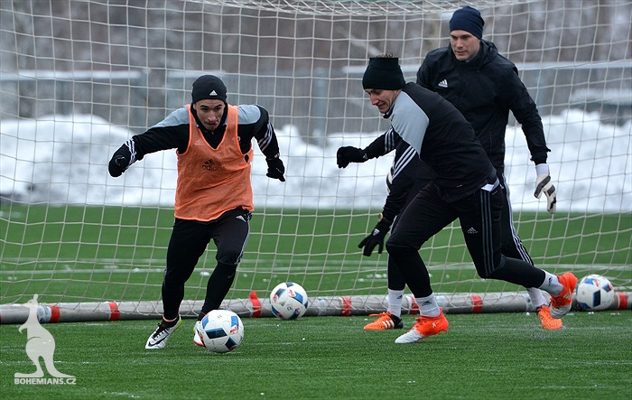 Klokani se připravují v Břízkách