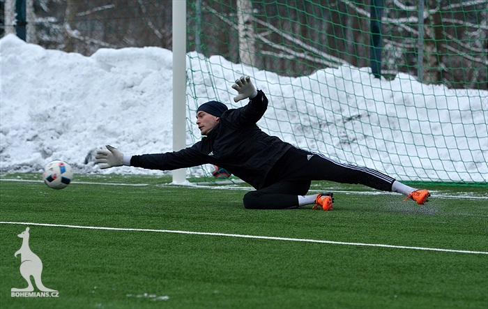 Klokani se připravují v Břízkách