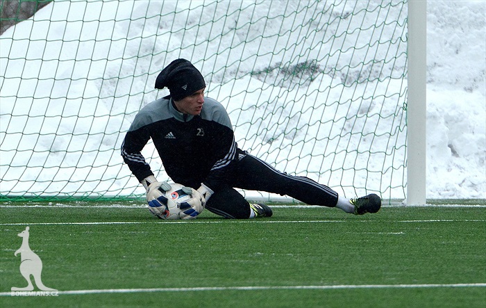 Klokani se připravují v Břízkách