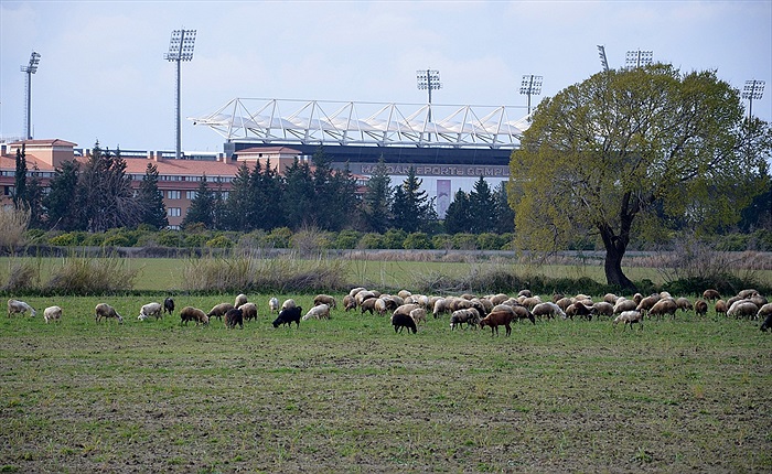 Bohemians Praha 1905 - Kaposvári Rákóczi 1:2 (0:1)