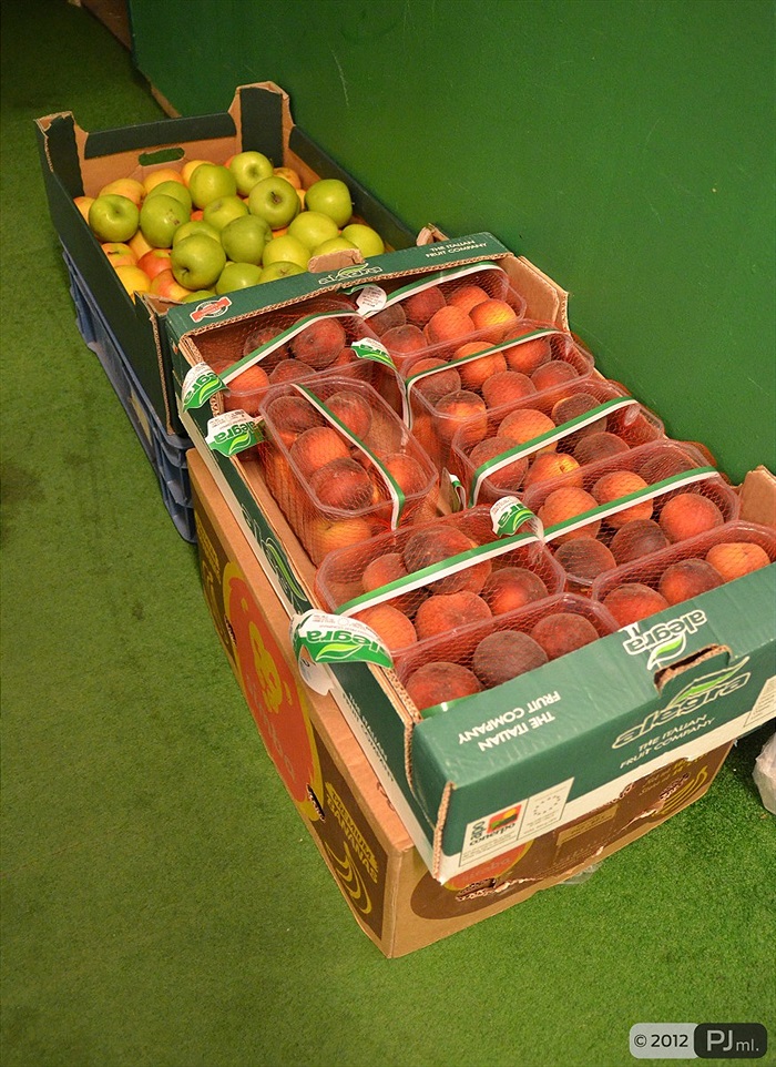 Klokani odjeli na soustředění