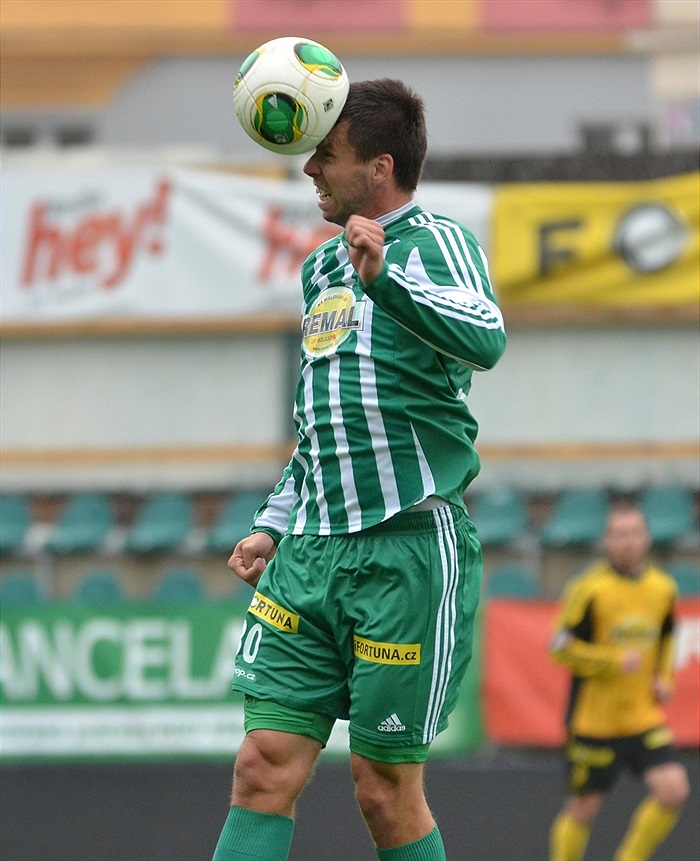 Modelové utkání, podzim 2013