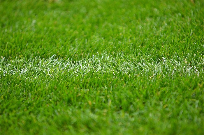 Modelové utkání, podzim 2013