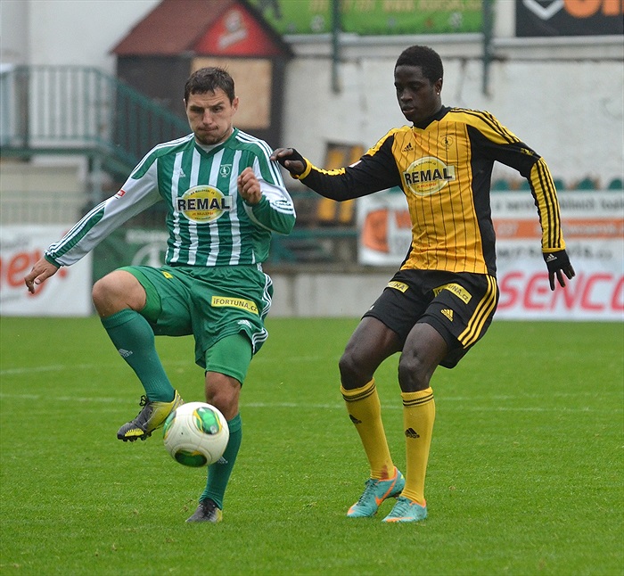 Modelové utkání, podzim 2013