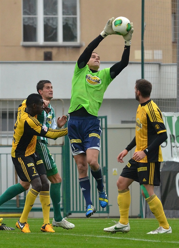 Modelové utkání, podzim 2013