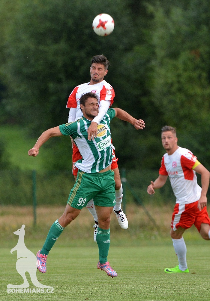 Hallescher - Bohemians 2:2 (0:1)