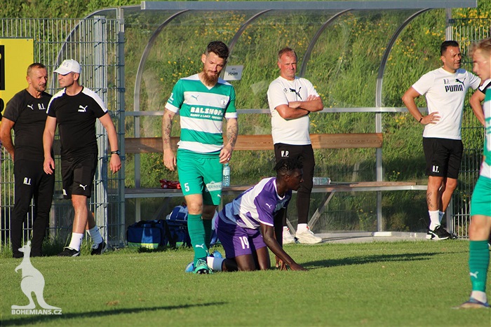Ujpest - Bohemians 0:1 (0:1)