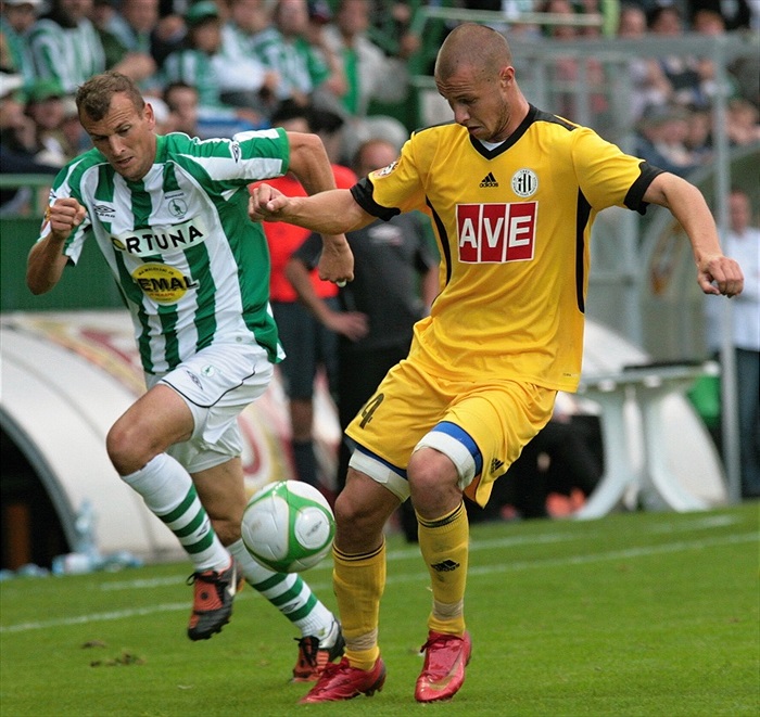 Ferenc Roth podal poctivý výkon.