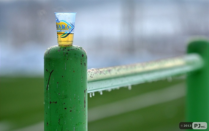 Klokani dnes trénovali na Šeberově