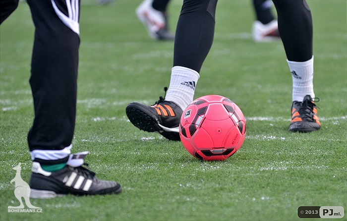 Klokani dnes trénovali na Šeberově